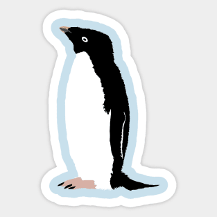 Adelie Penguin Sticker
